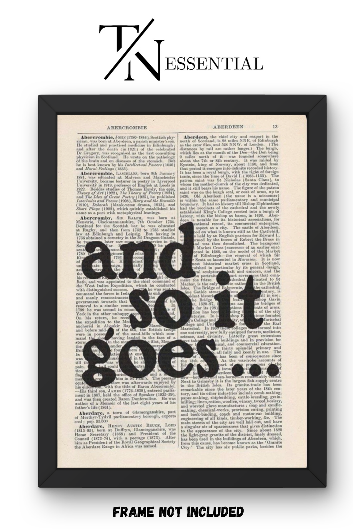CLASSIC NOVEL PAGE CANVAS POSTER