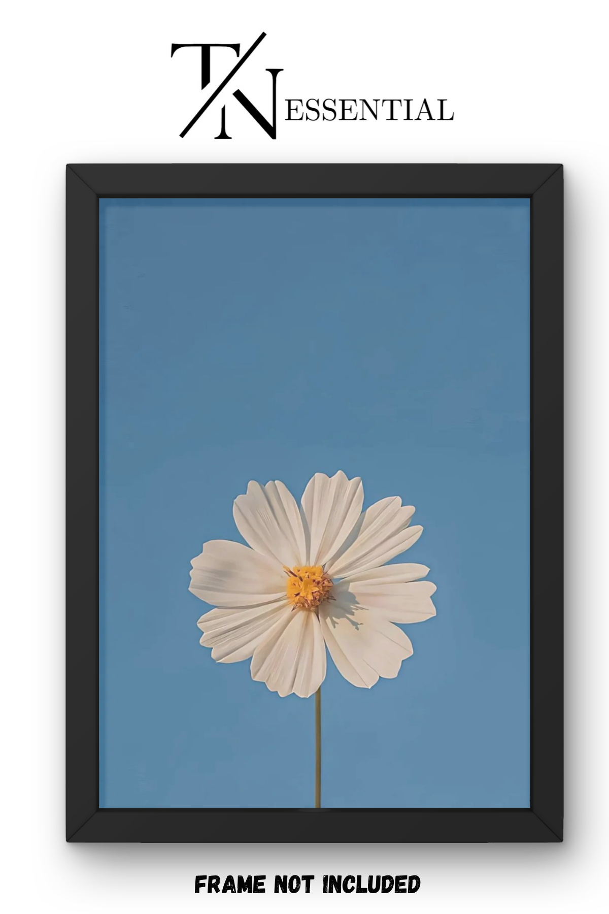 SINGLE DAISY AESTHETIC CANVAS POSTER
