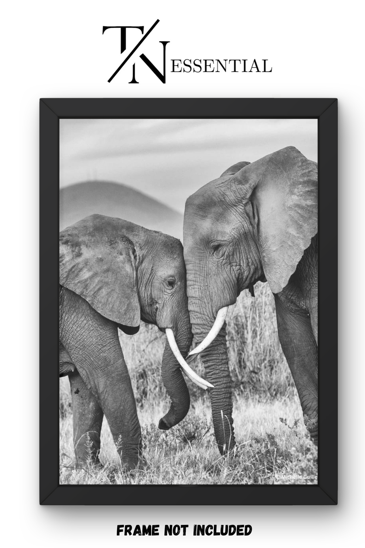 ELEPHANT FAMILY SAFARI CANVAS POSTER