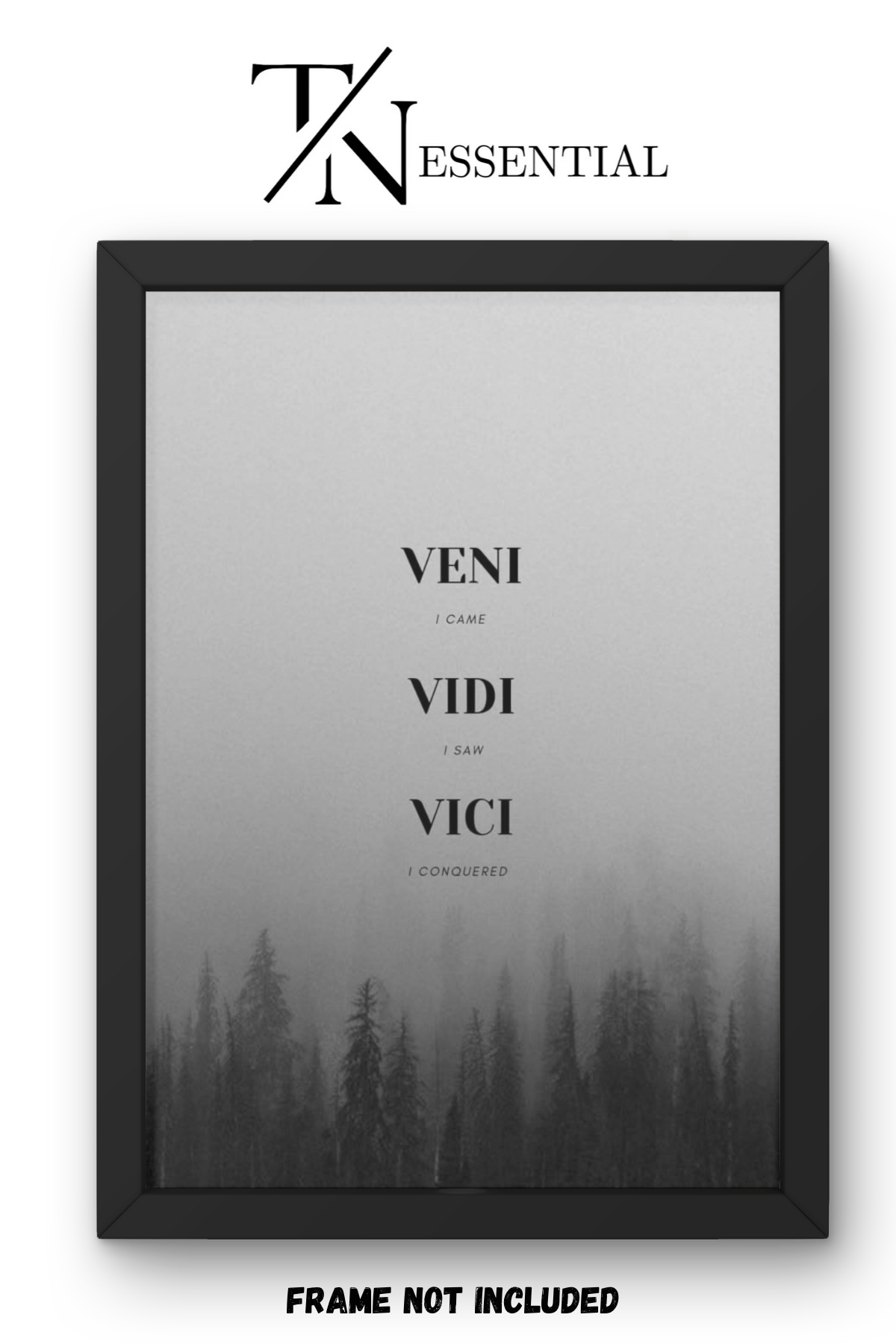 VINTAGE CONQUEROR QUOTE AESTHETIC CANVAS POSTER