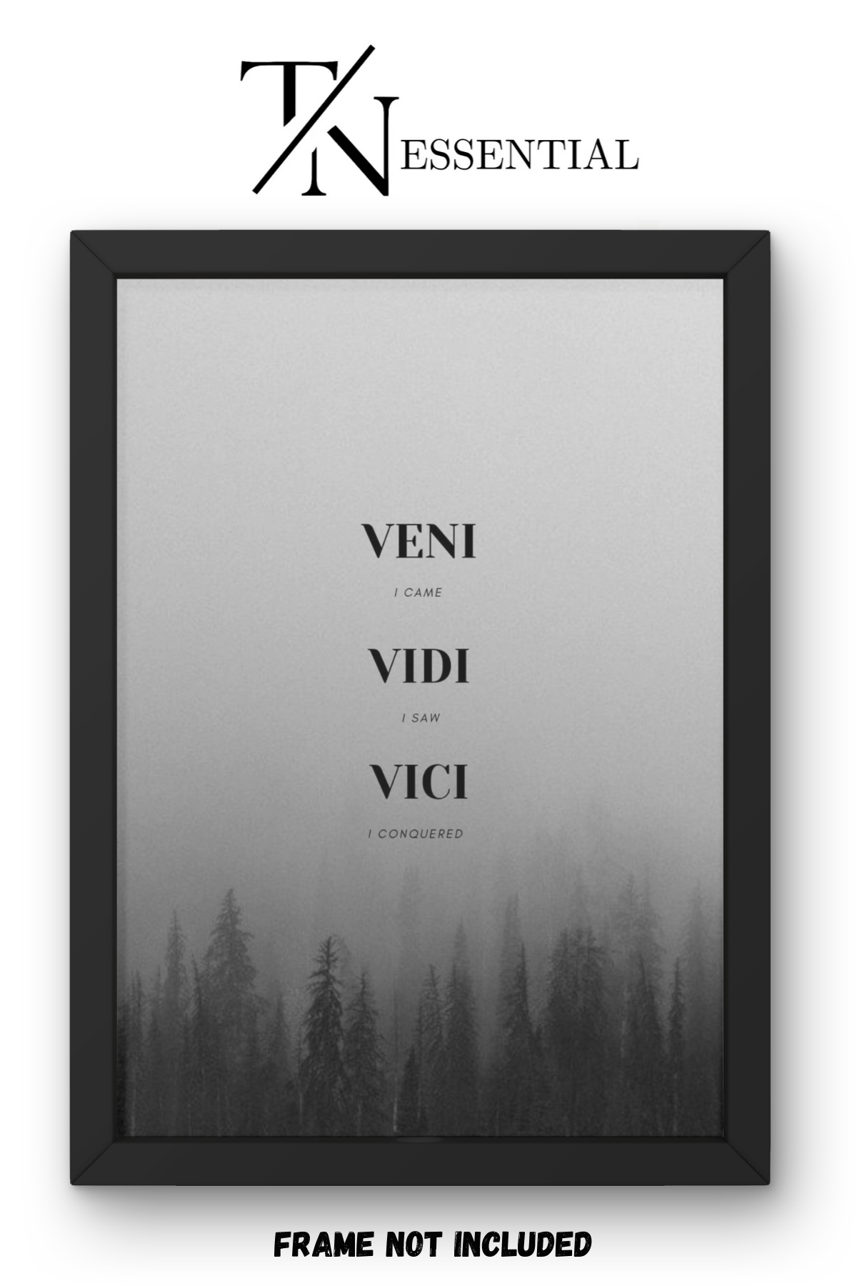 ICONIC I CAME I SAW I CONQUERED CANVAS POSTER
