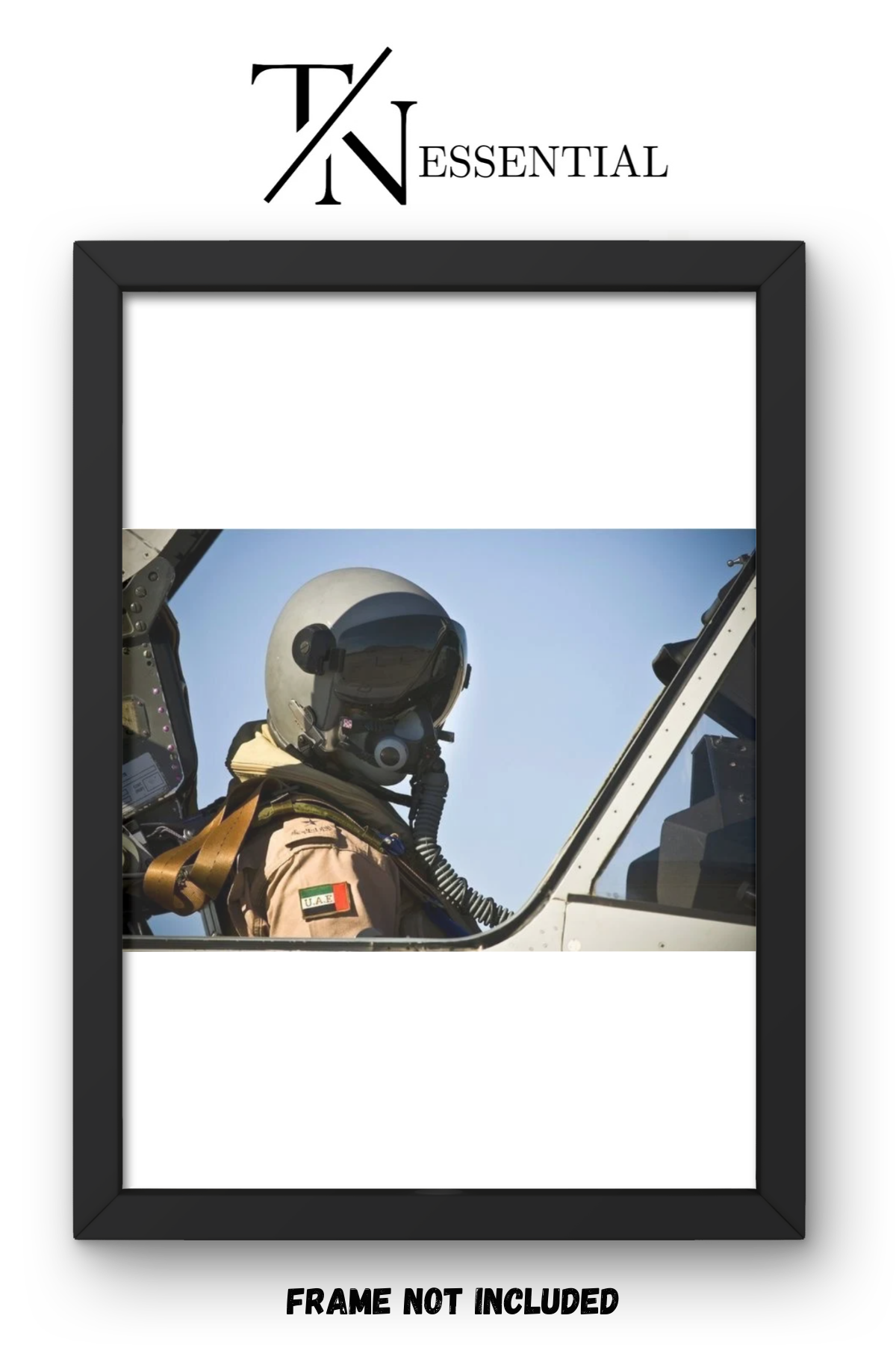 EMIRATI AIR FORCE JET PILOT COCKPIT VIEW CANVAS POSTER
