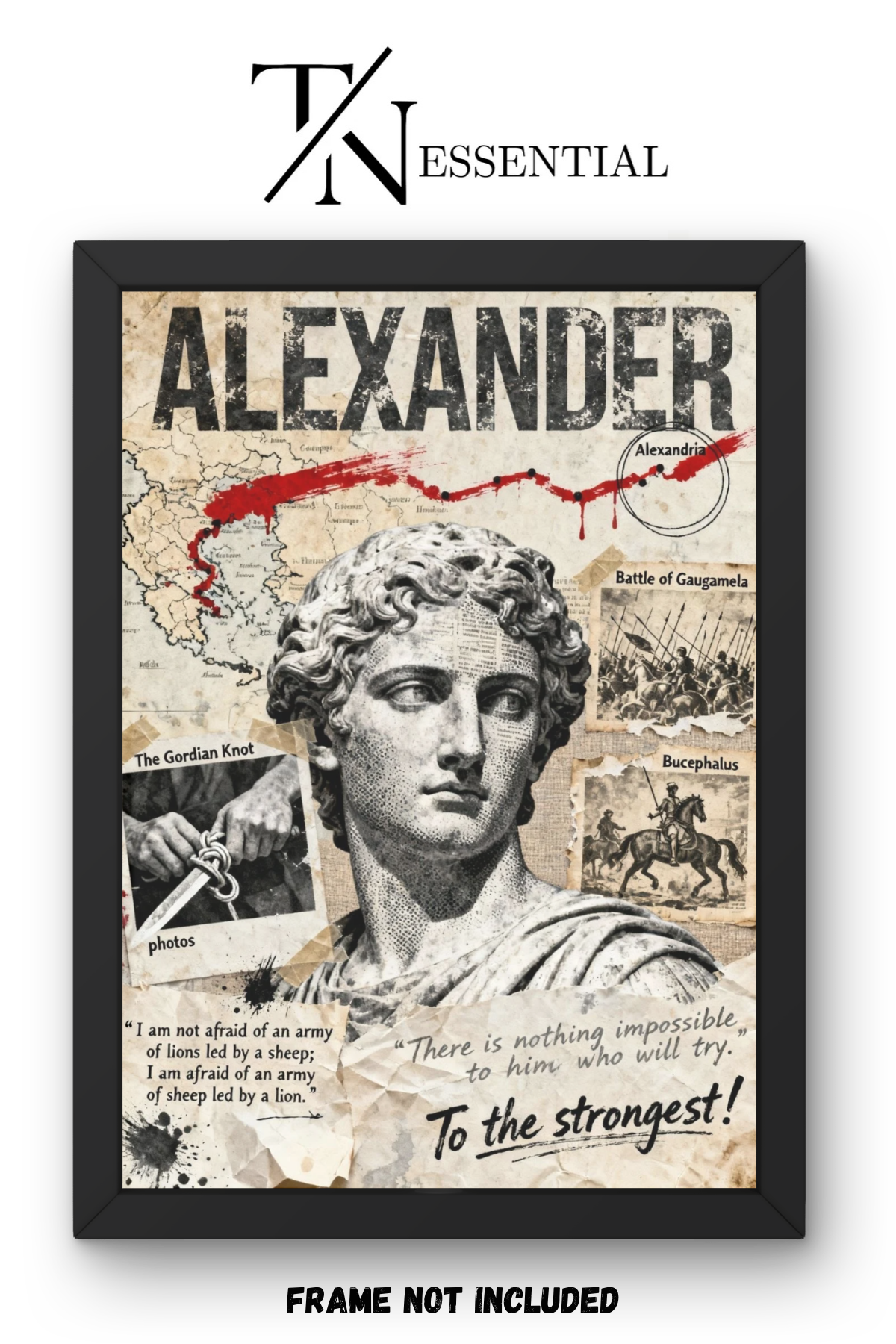 ALEXANDER THE GREAT EMPIRE CONQUEROR HISTORICAL LEGEND CANVAS POSTER