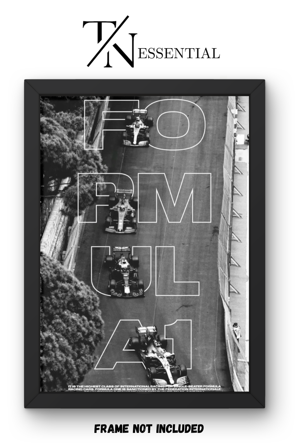 FORMULA 1 HIGH SPEED RACING ELITE MOTORSPORT CANVAS POSTER