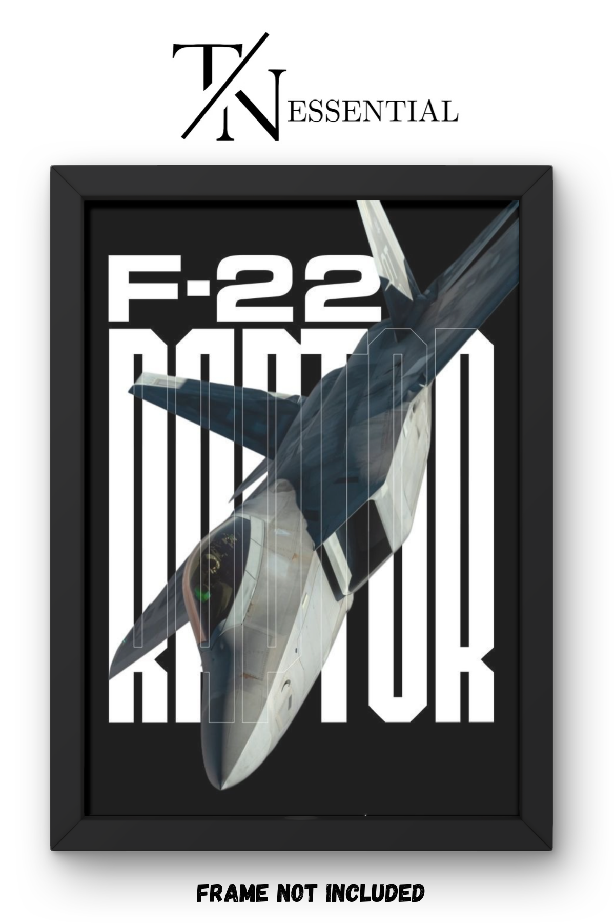 F-22 RAPTOR U.S. AIR FORCE STEALTH POWER SKY SUPERIORITY CANVAS POSTER