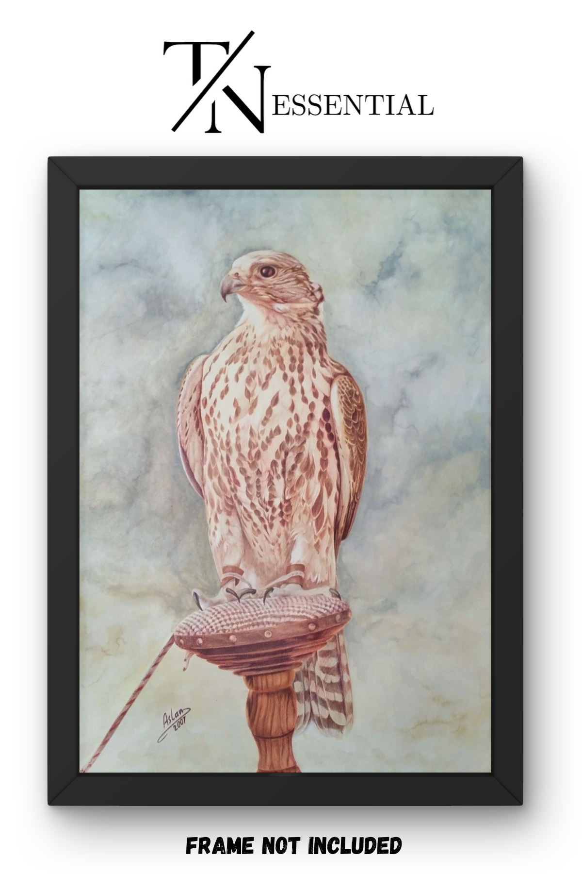 FALCONRY LEGACY MAJESTIC RAPTOR ARABIAN CULTURE CANVAS POSTER