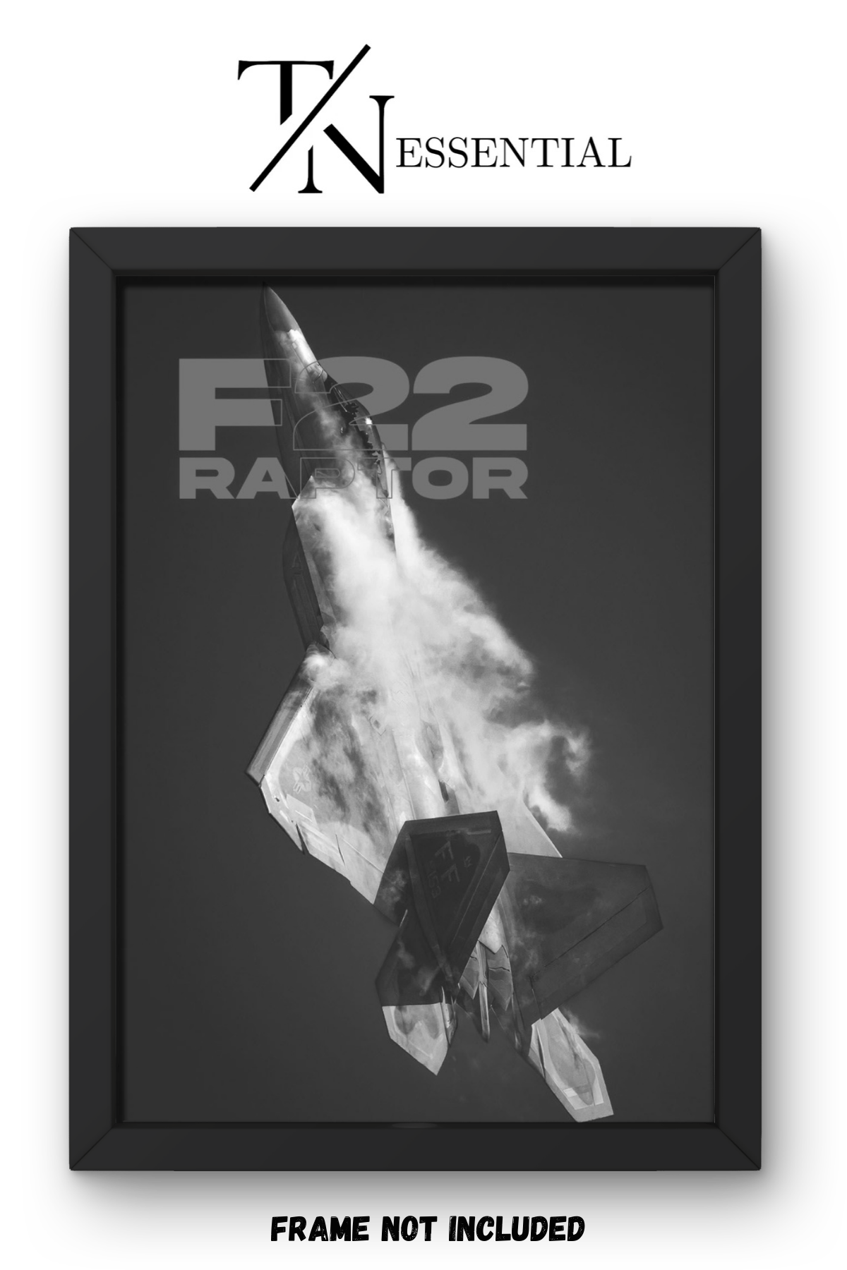 F-22 RAPTOR STEALTH FIGHTER JET CANVAS POSTER