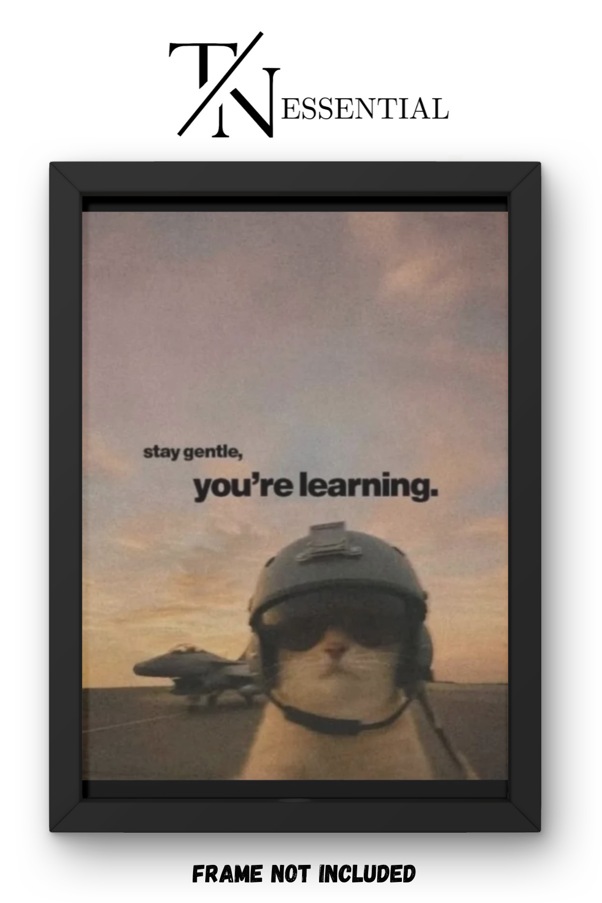 CUTE PILOT CAT MOTIVATION CANVAS POSTER
