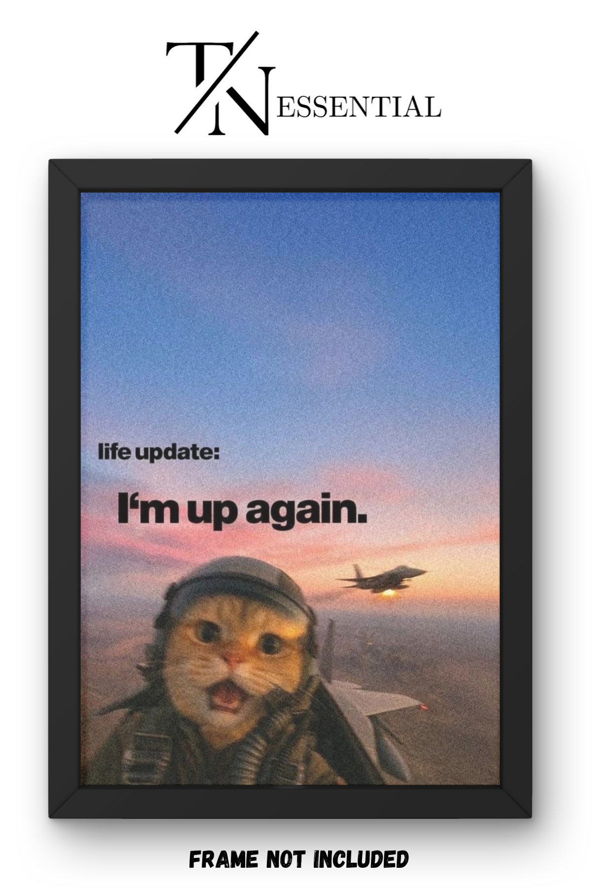 MOTIVATIONAL CAT AVIATION MEME CANVAS POSTER
