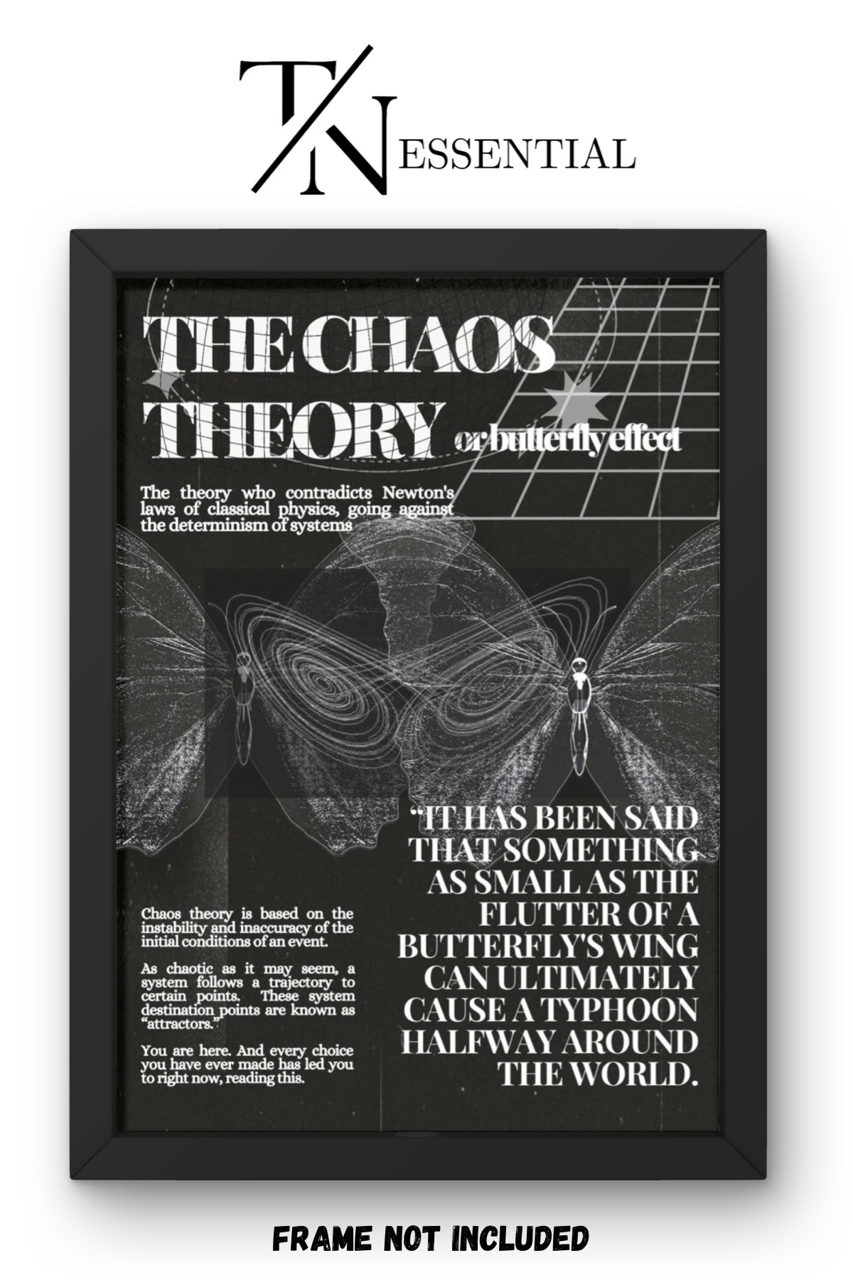 CHAOS THEORY BUTTERFLY EFFECT SCIENCE CANVAS POSTER