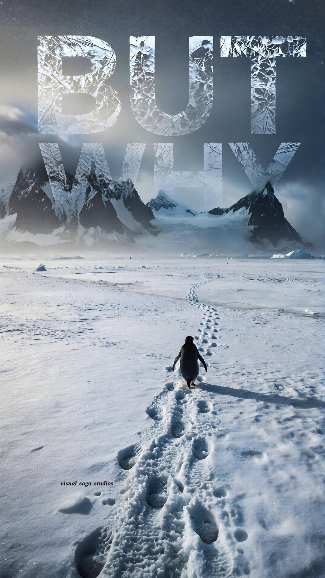 ARCTIC PENGUIN AESTHETIC CANVAS POSTER