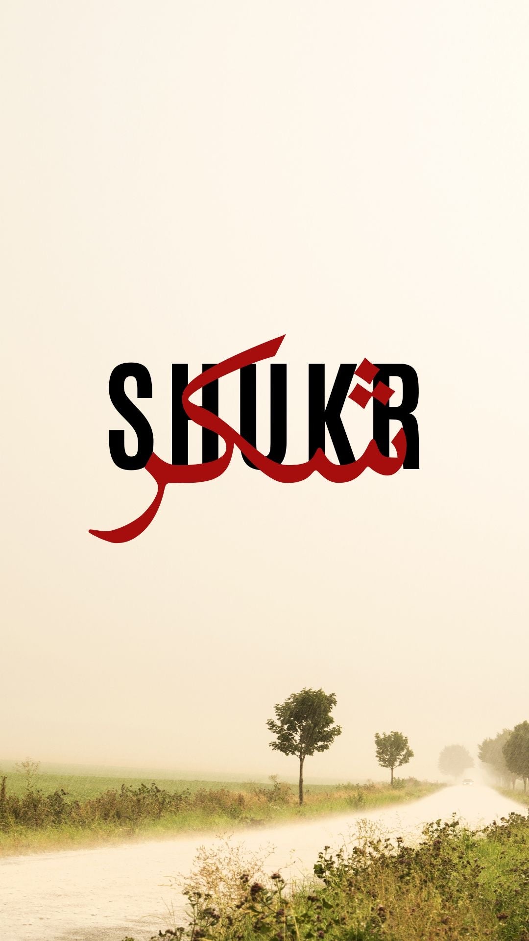 SHUKR GRATITUDE CANVAS POSTER