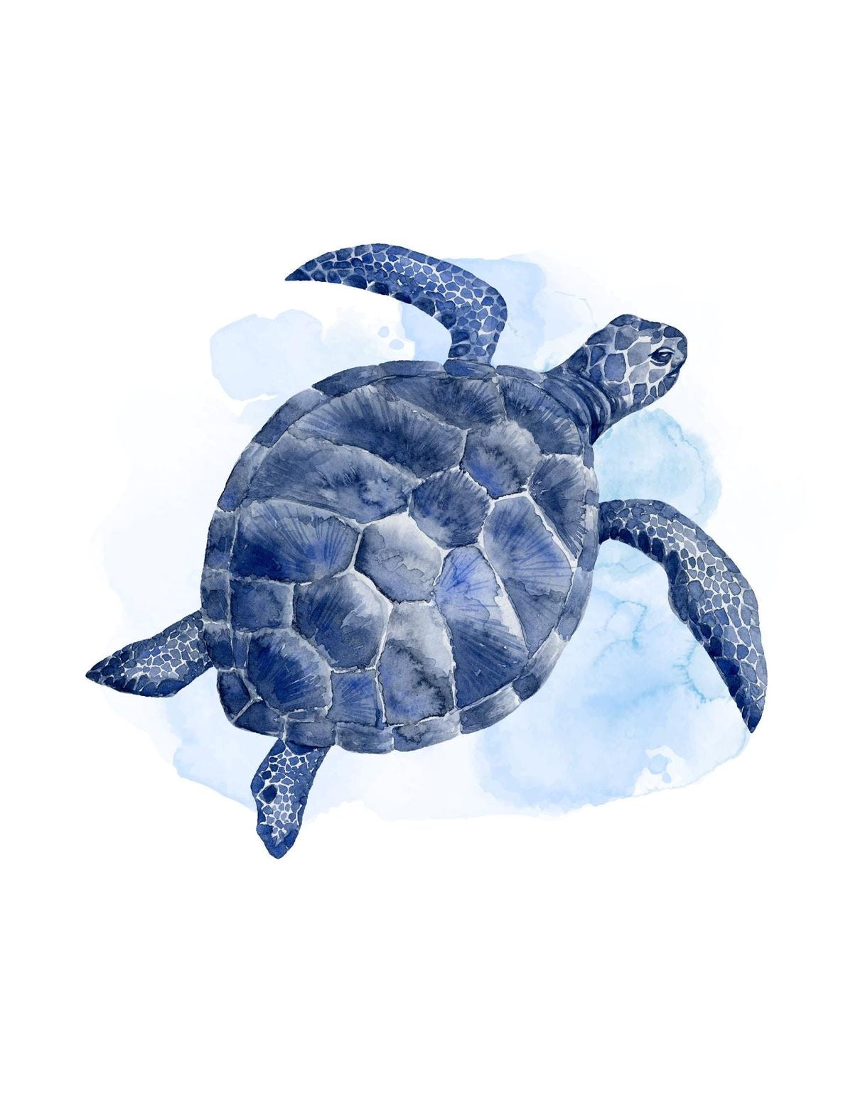 BLUE SEA TURTLE CANVAS POSTER