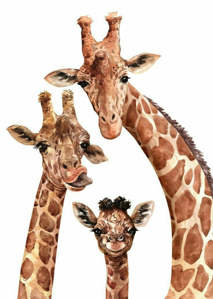 CUTE SAFARI GIRAFFES CANVAS POSTER