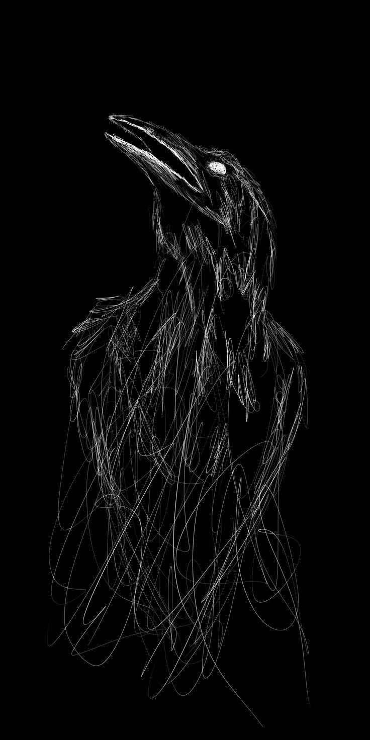 RAVEN IN THE VOID CANVAS POSTER