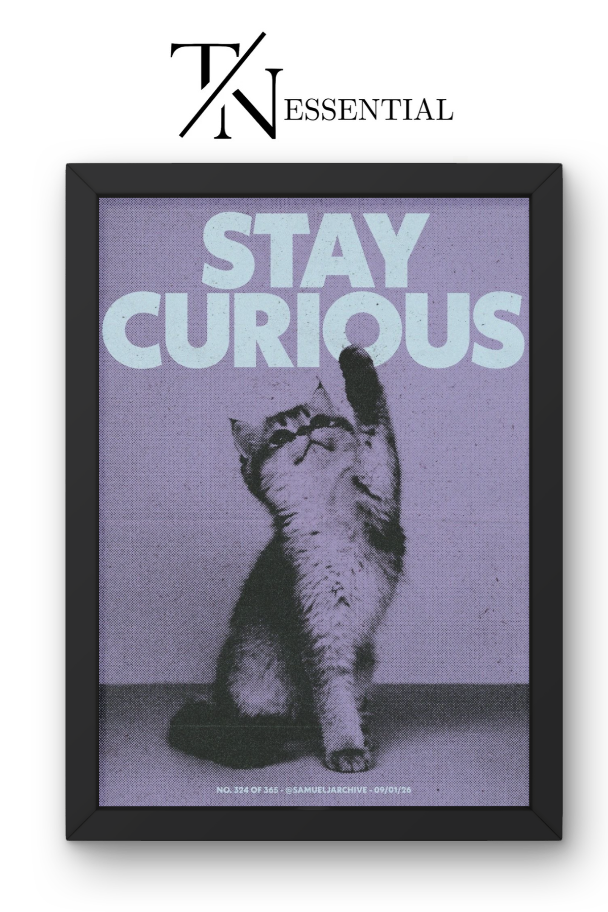 CUTE "STAY CURIOUS" CAT CANVAS POSTER
