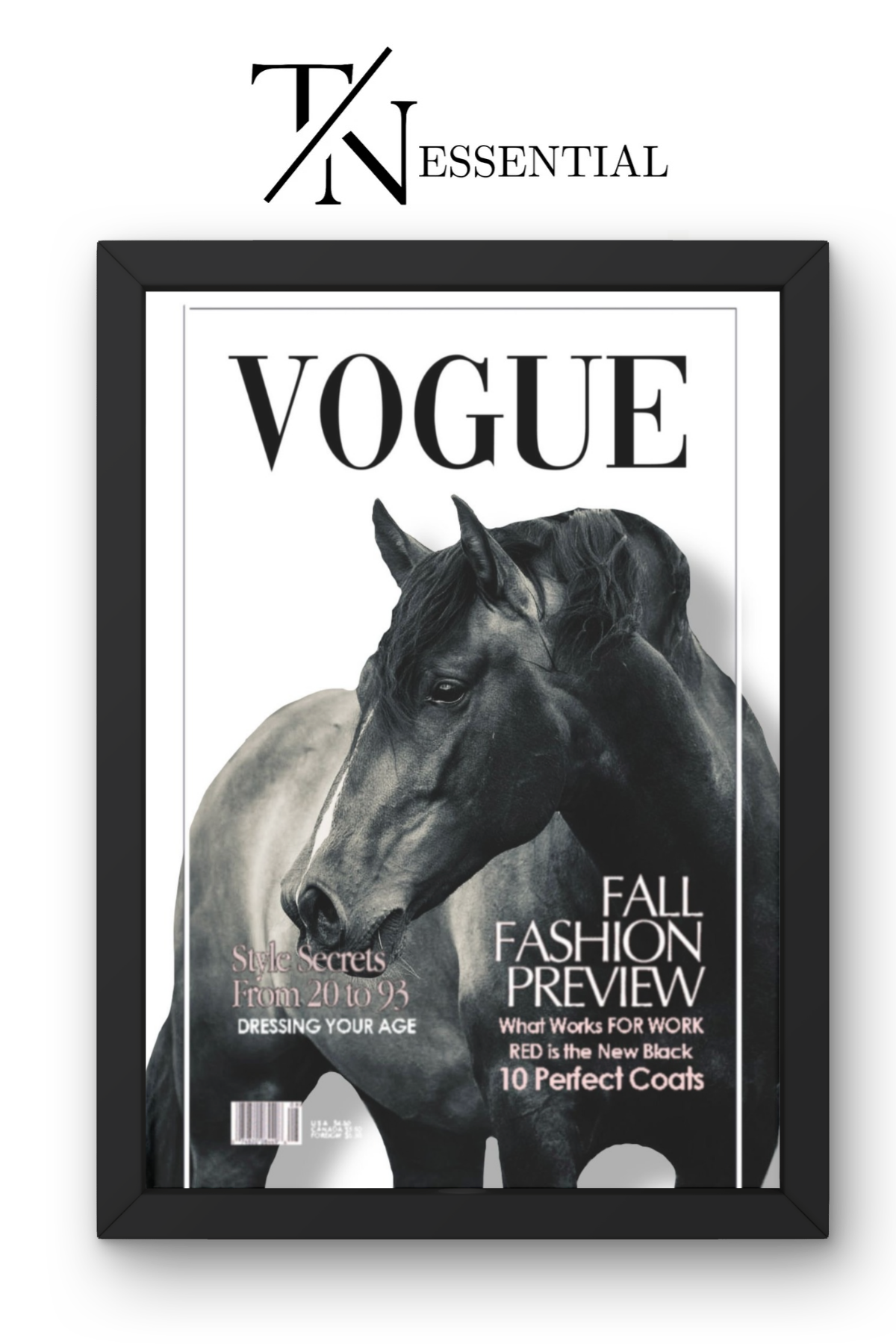 BLACK STALLION VOGUE AESTHETIC CANVAS POSTER