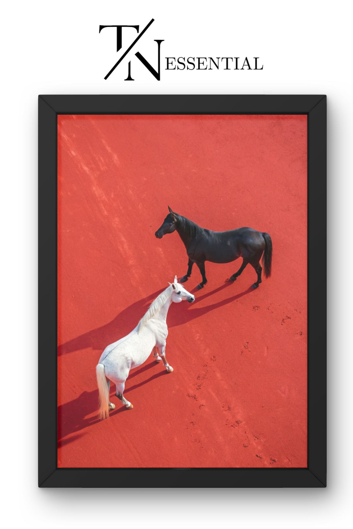 ARTISTIC BLACK AND WHITE HORSE PAIR CANVAS POSTER
