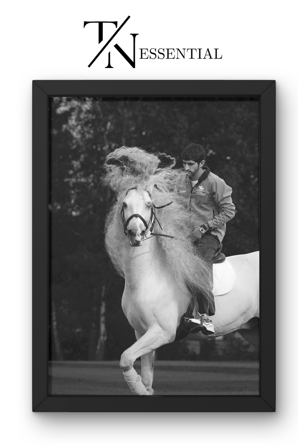 SHEIKH HAMDAN BIN MOHAMMED AL MAKTOUM HORSE HERITAGE CANVAS POSTER