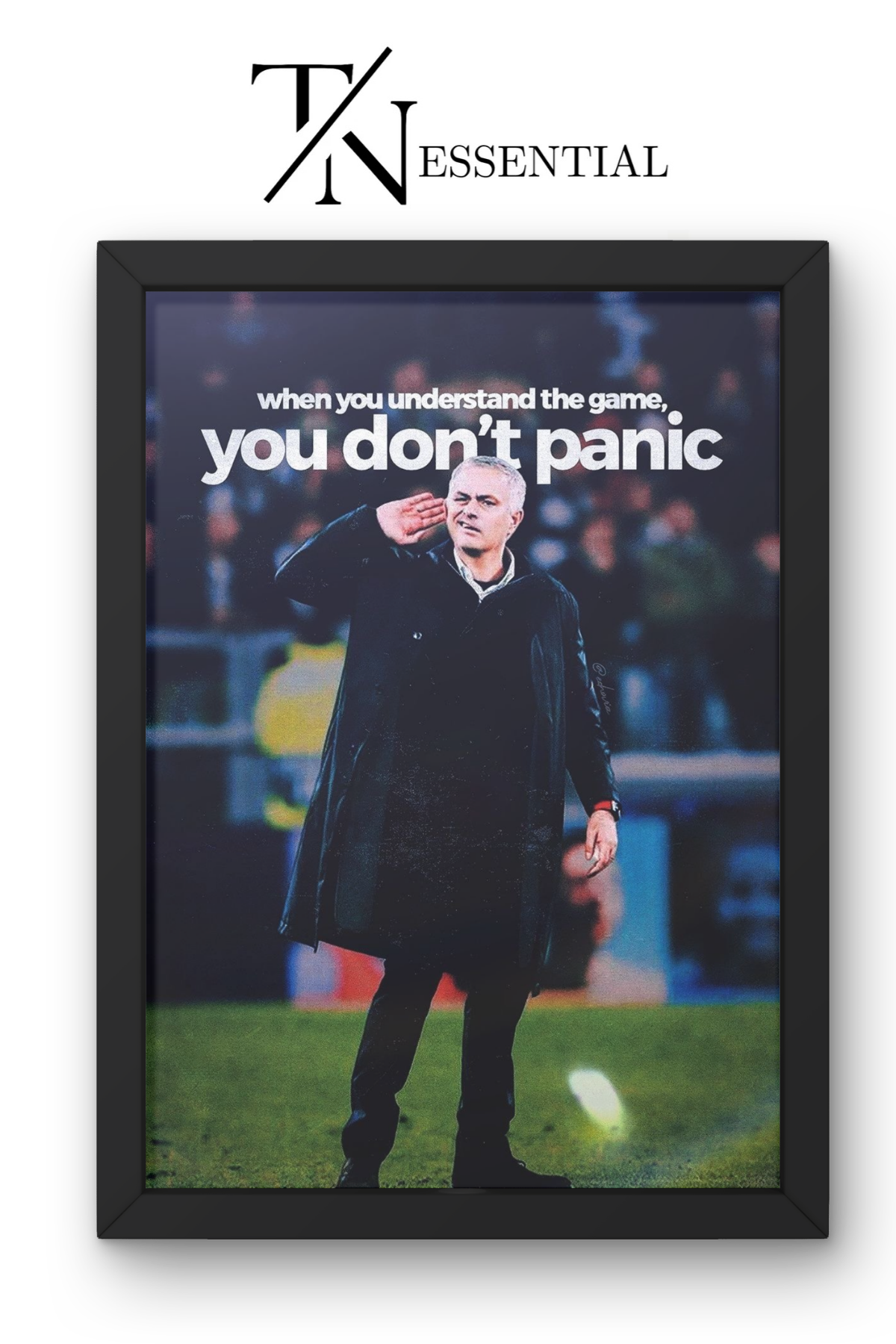 MASTER THE GAME STAY CALM MINDSET CANVAS POSTER
