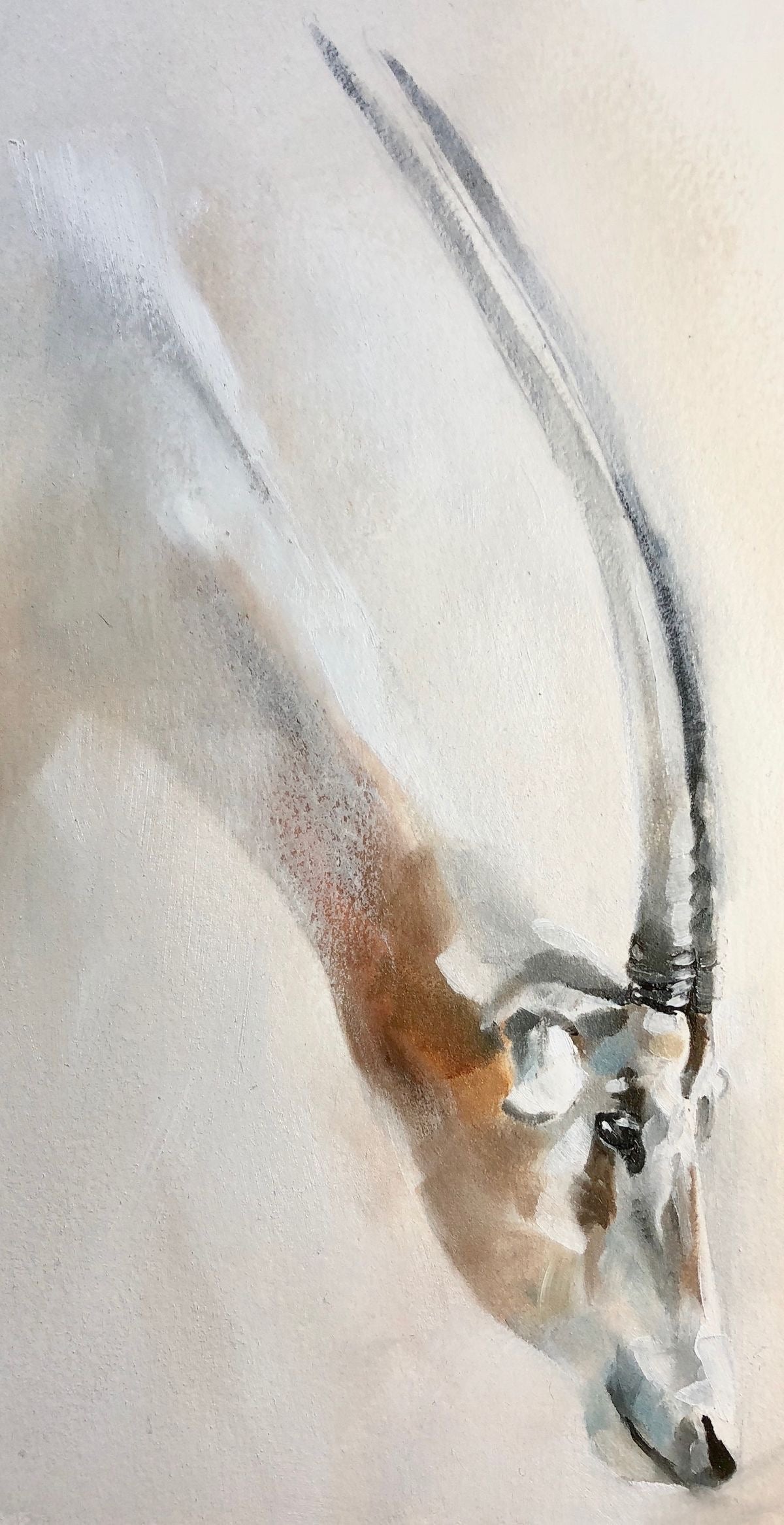 DESERT ORYX SILENCE CANVAS POSTER
