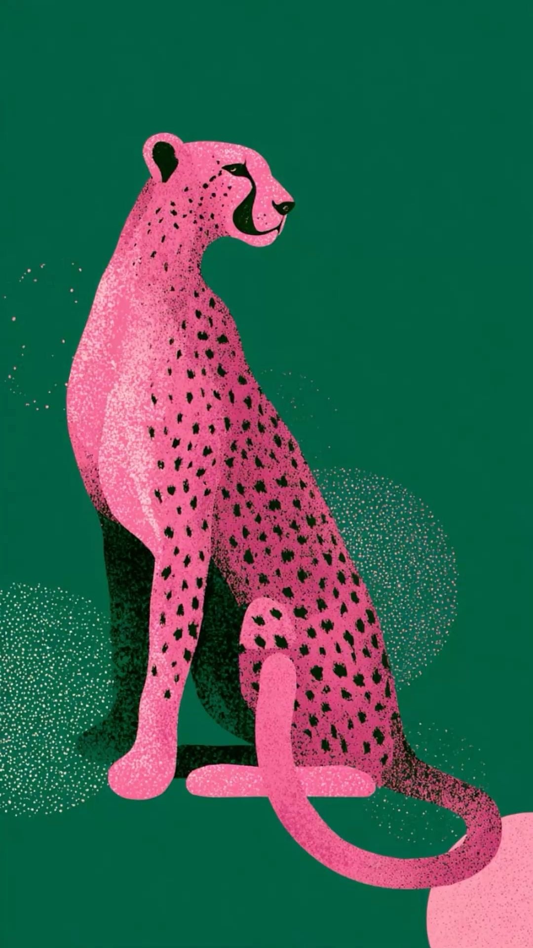 WILD PINK ATTITUDE CANVAS POSTER