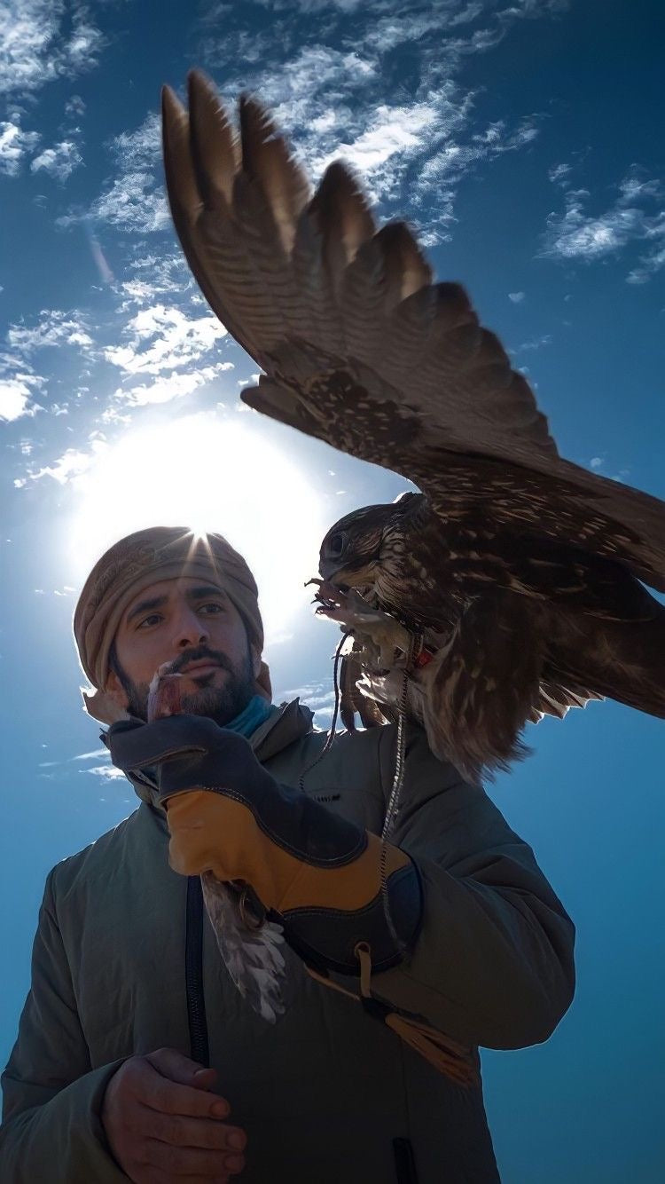 HH SHEIKH HAMDAN BIN MOHAMMED AL MAKTOUM DESERT FALCONRY CANVAS POSTER