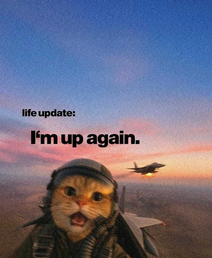 MOTIVATIONAL CAT AVIATION MEME CANVAS POSTER