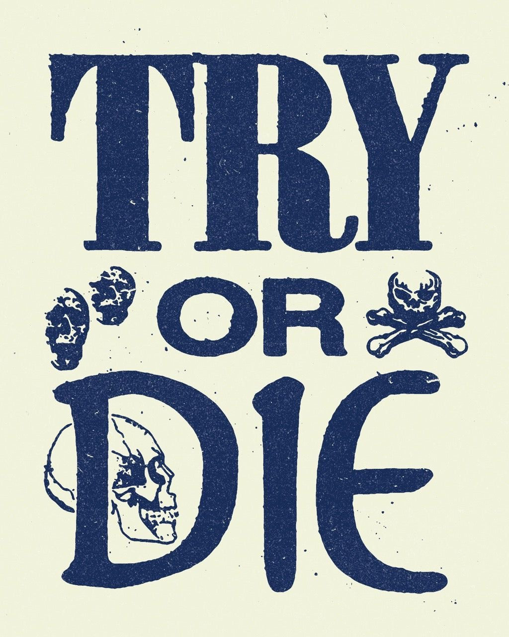 AESTHETIC MOTIVATIONAL "die or try" CANVAS POSTER