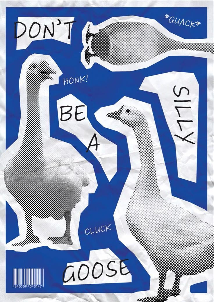 FUNNY "DON'T BE A SILLY GOOSE" CANVAS POSTER