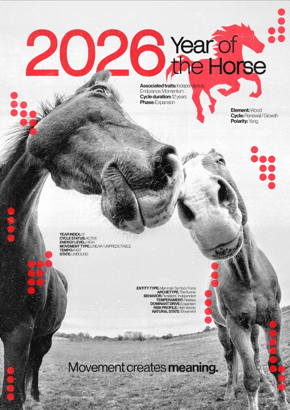 MOVEMENT CREATES MEANING HORSE CANVAS POSTER
