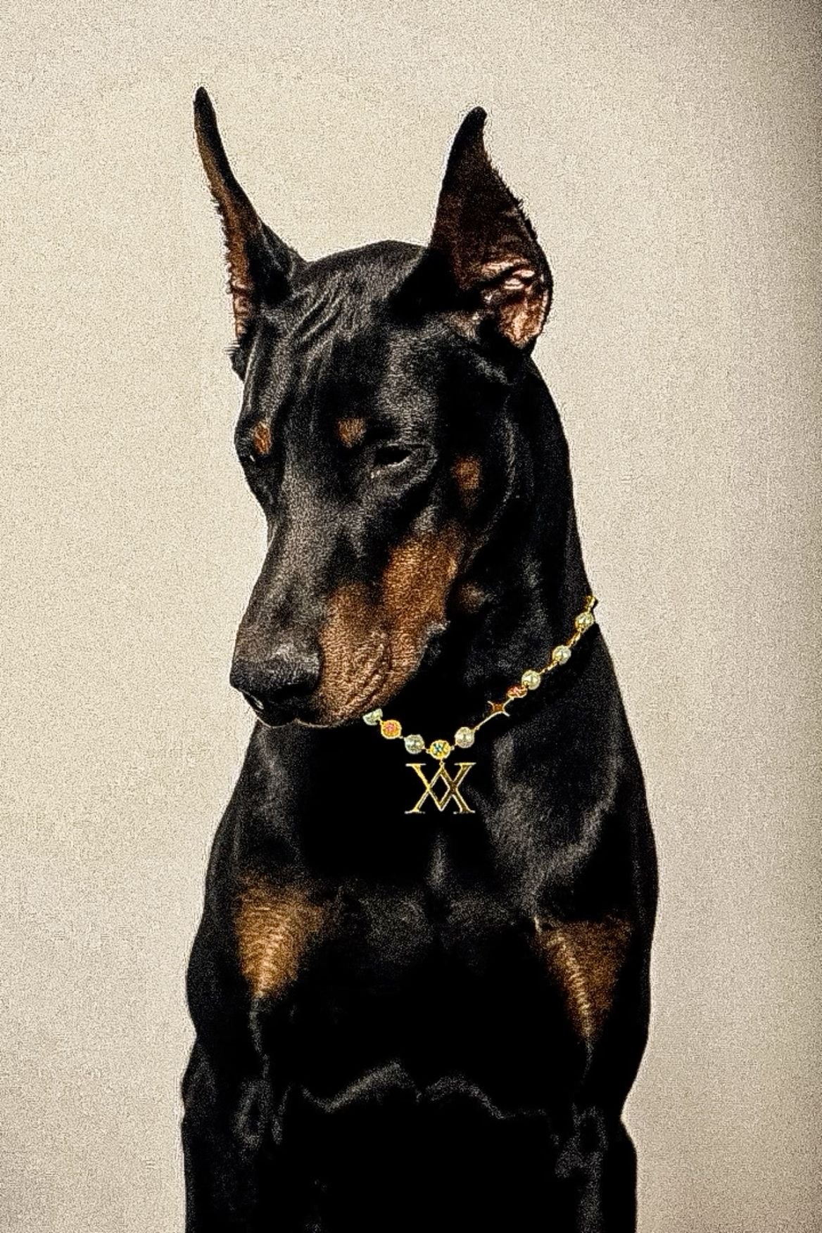 ELEGANT BLACK DOBERMAN AESTHETIC CANVAS POSTER