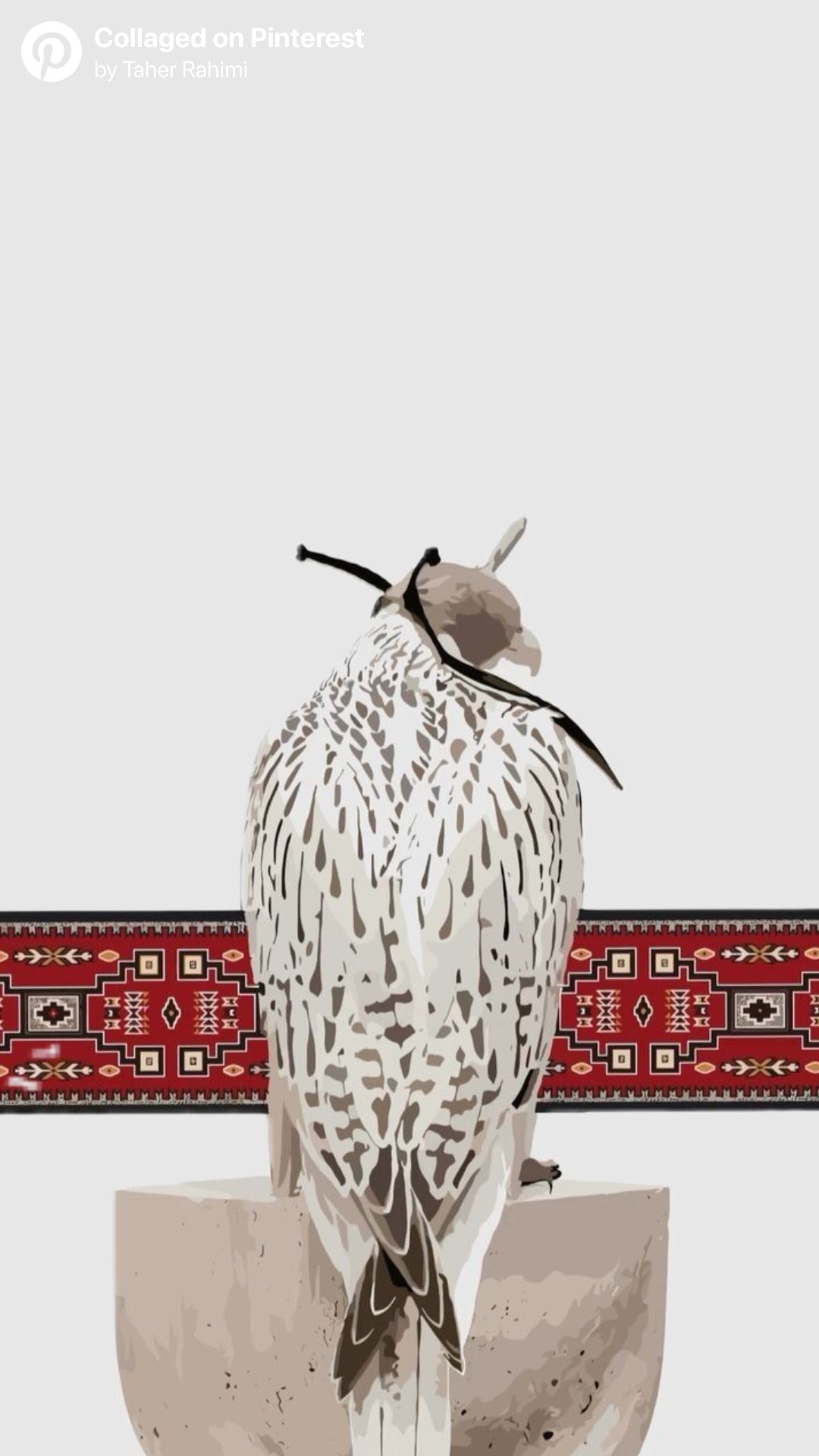 FALCON OF THE EMIRATES CULTURAL ART CANVAS POSTER