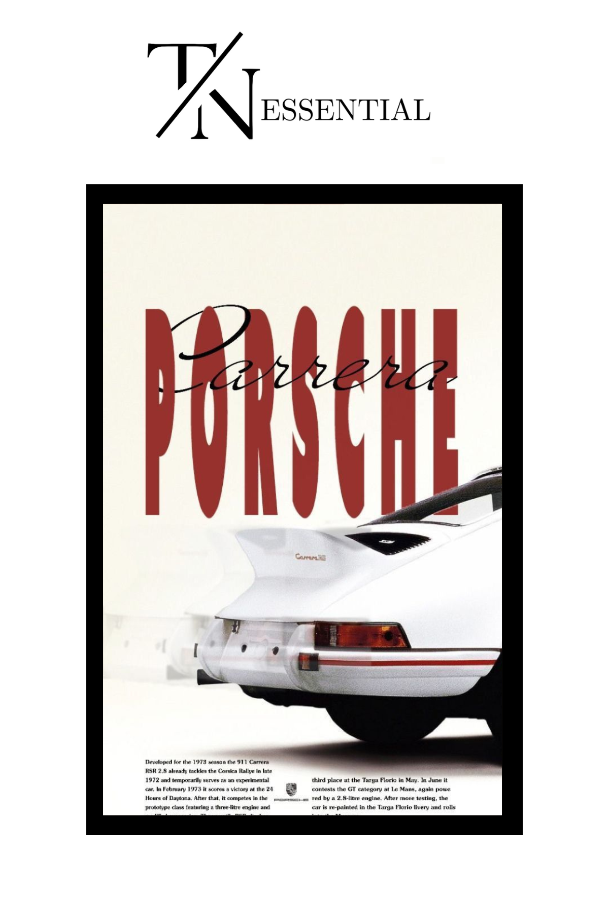 PORCHE CANVAS POSTER