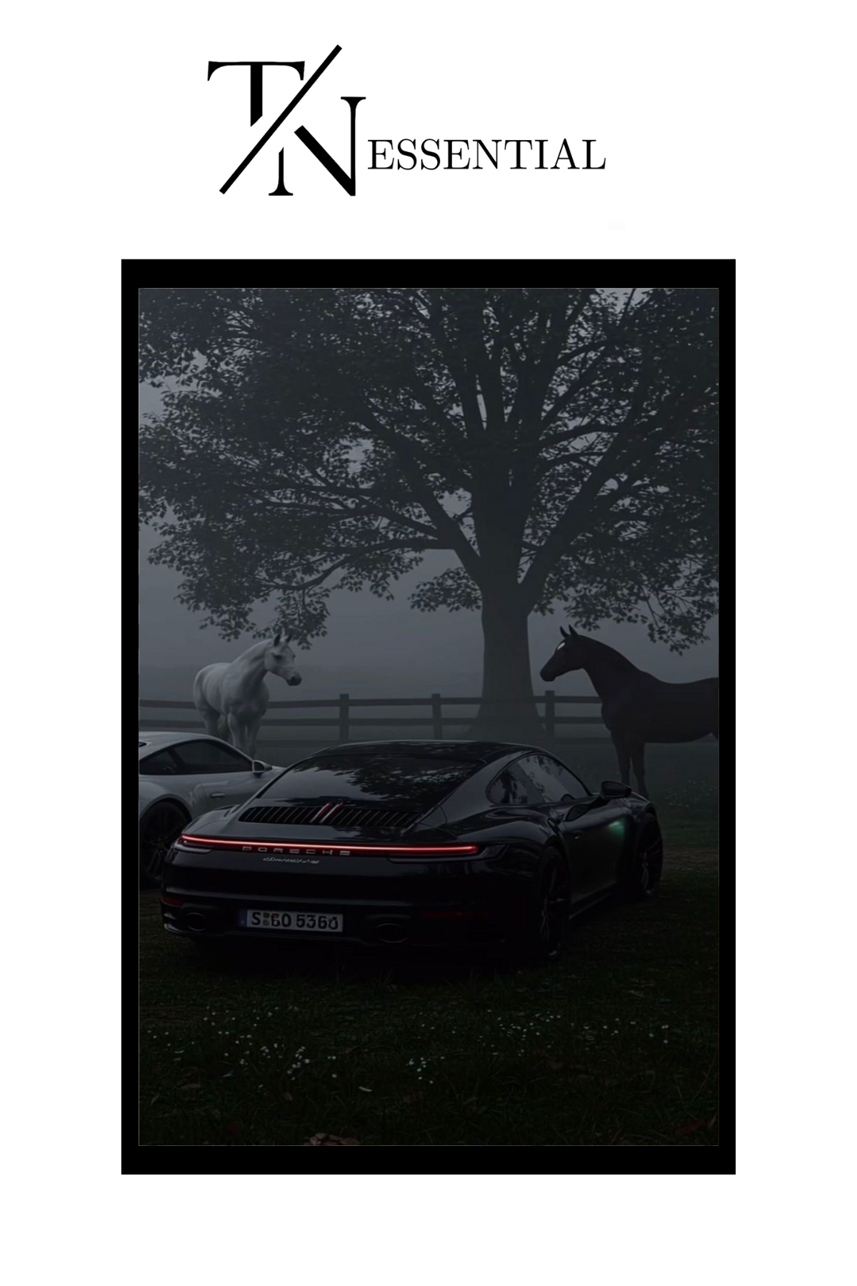 AESTHETIC PORCHE CANVAS POSTER