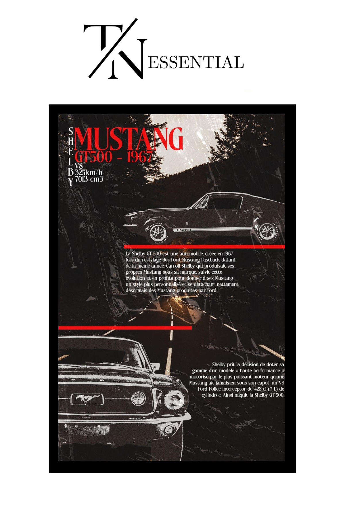 MUSTANG GT 500 1967 CANVAS POSTER