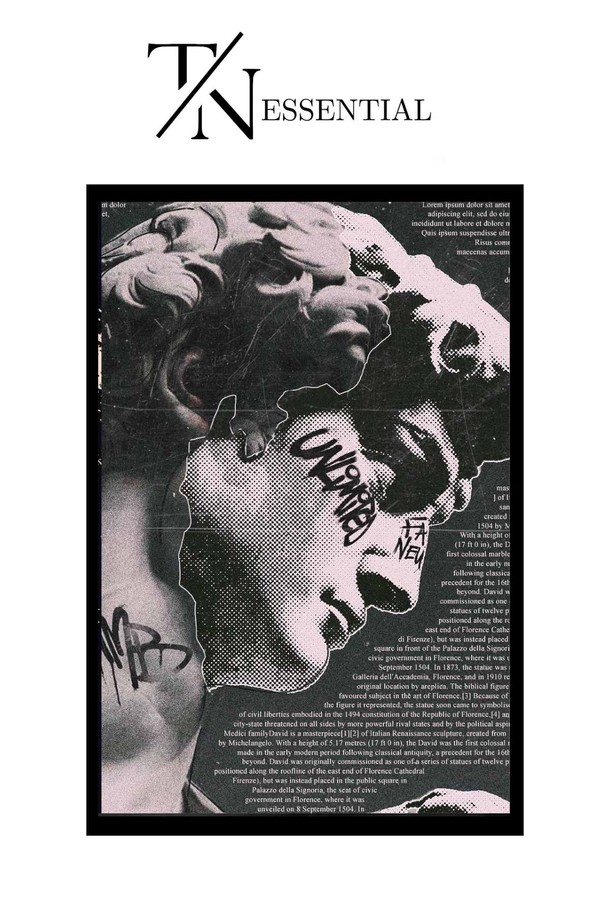 ARTISTIC ALEXANDER THE GREAT CANVAS POSTER