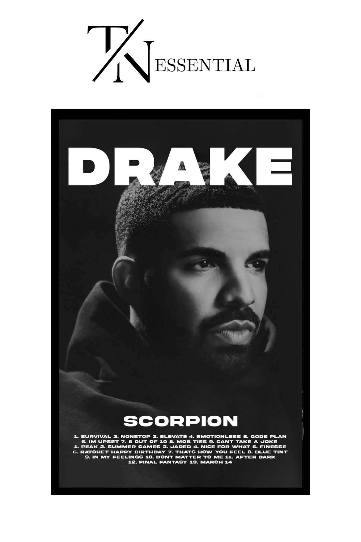 DRAKE CANVAS POSTER