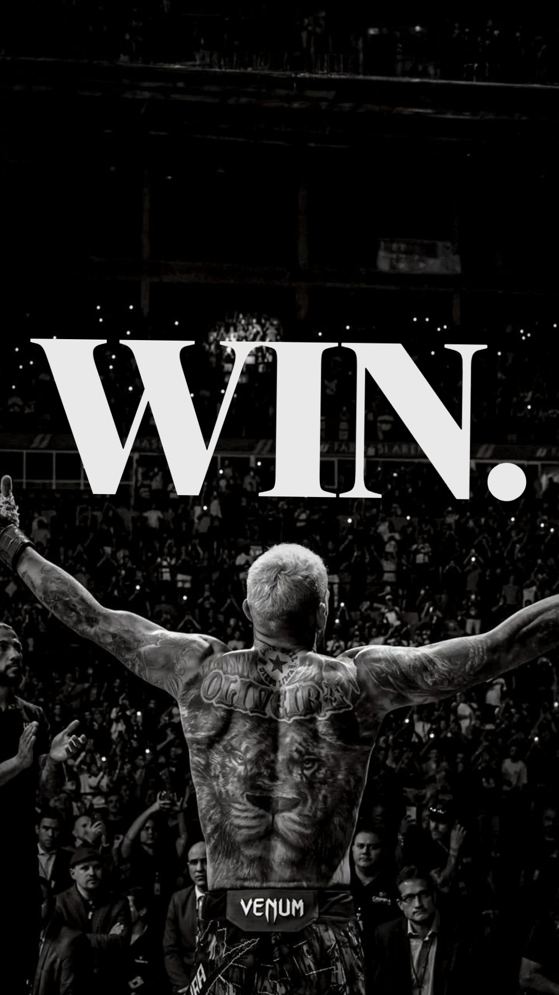 VICTORY MOMENT FIGHT NIGHT CANVAS POSTER