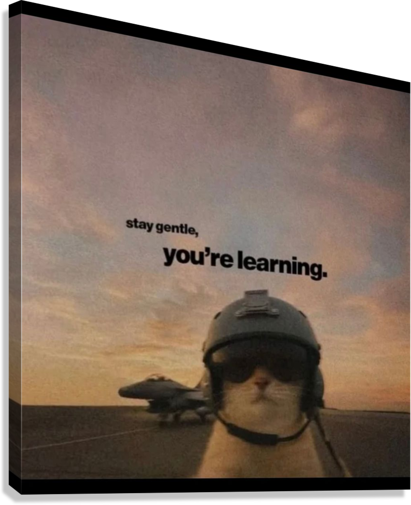 CUTE PILOT CAT MOTIVATION CANVAS POSTER