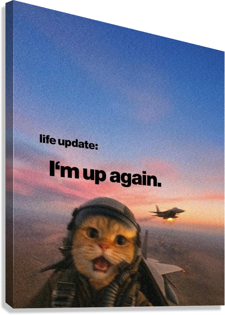 MOTIVATIONAL CAT AVIATION MEME CANVAS POSTER