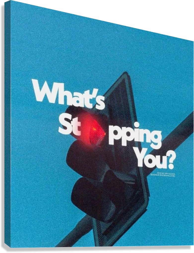 WHAT’S STOPPING YOU MOTIVATIONAL CANVAS POSTER