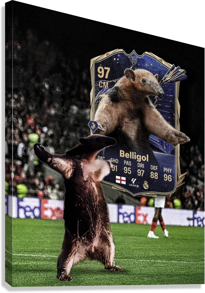 BELLIGOL MEME FIFA CARD CANVAS POSTER