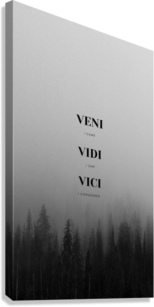 ICONIC I CAME I SAW I CONQUERED CANVAS POSTER
