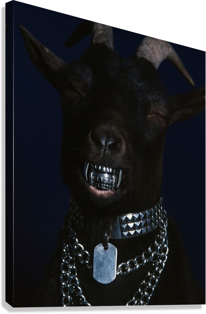 BLACK GOAT BOSS ENERGY STREET LUXURY DARK VIBES CANVAS POSTER