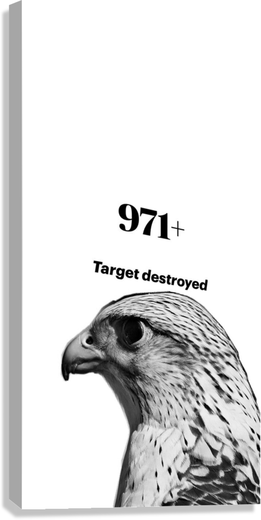 TARGET DESTROYED FALCON CANVAS POSTER