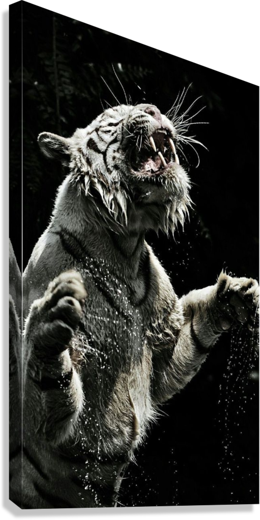FIERCE TIGER AESTHETIC CANVAS POSTER