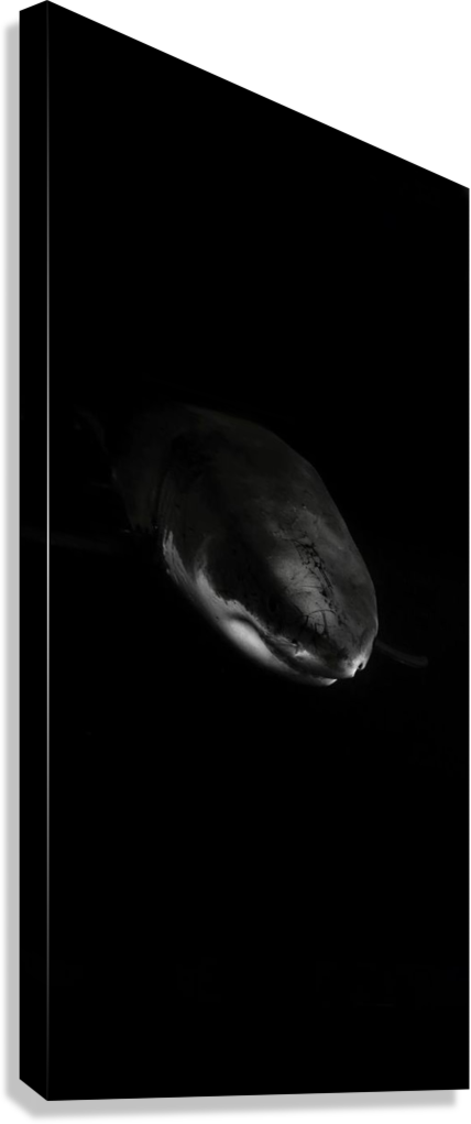 DEEP SEA PREDATOR CANVAS POSTER