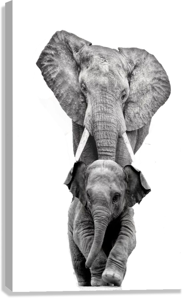 ELEPHANT MOTHER AND BABY CANVAS POSTER