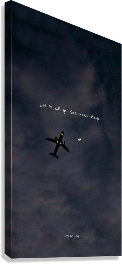 LET IT ALL GO CANVAS POSTER